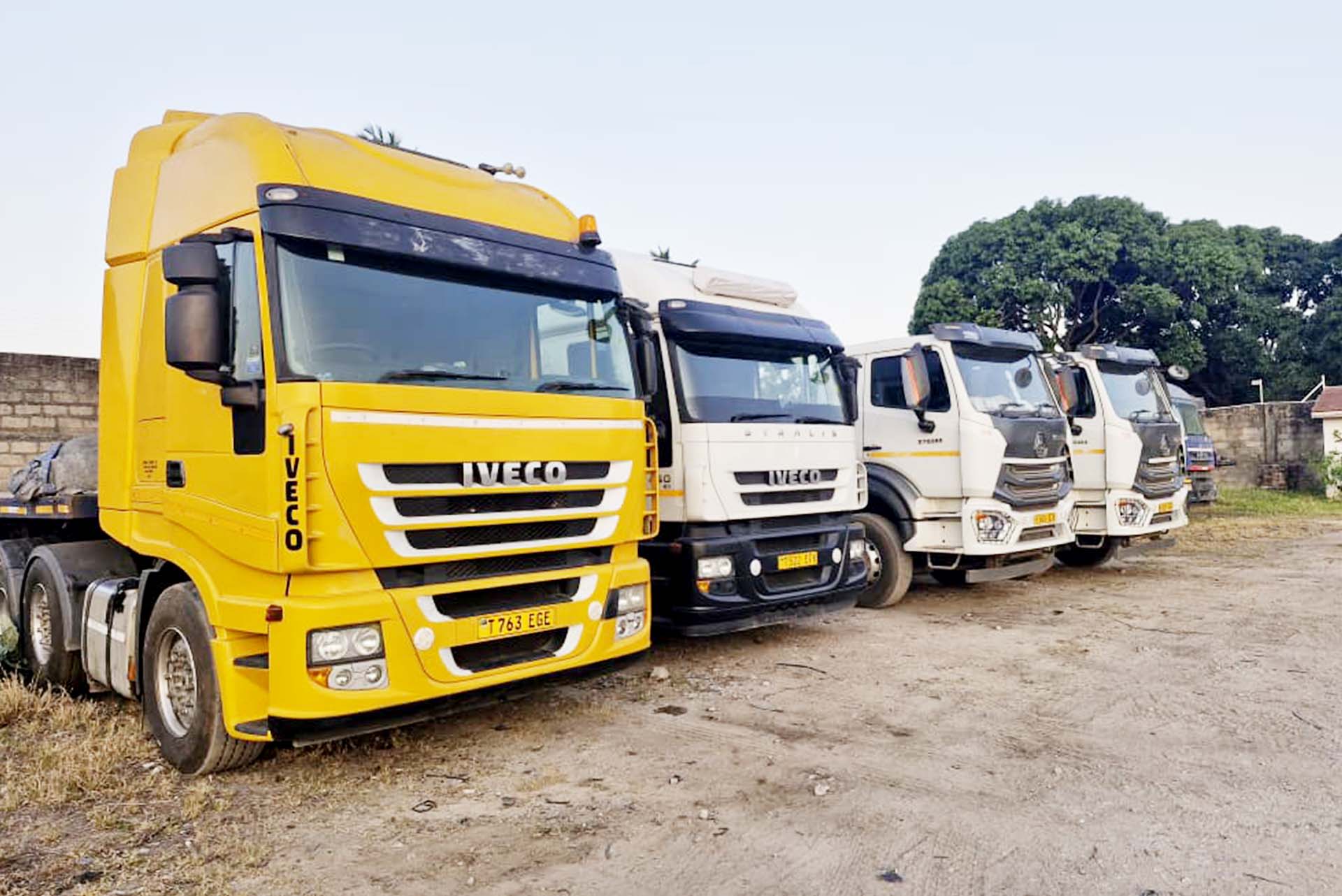 Shaimak Global Connections